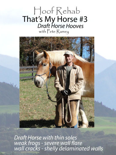 That's my Horse #3
