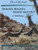Donkey Hooves: Inside and Out