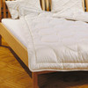 Prolana 100% Organic Wool Duvet