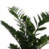 Smaragd evergreen artificial plant with dense narrow green leaves