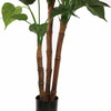 Alocasia Cucullata artificial plant with heart-shaped glossy leaves and upright stems