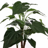 Alocasia Cucullata artificial plant with heart-shaped glossy leaves and upright stems
