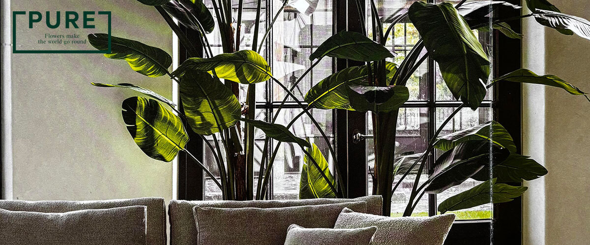 Artificial Plants & Flowers