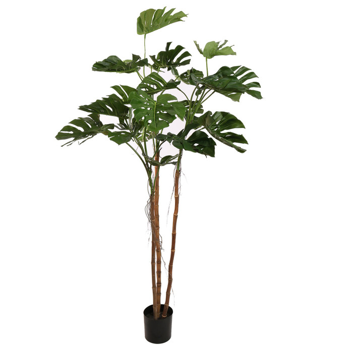 Tall Split Philo artificial plant with wide split foliage and realistic trunk