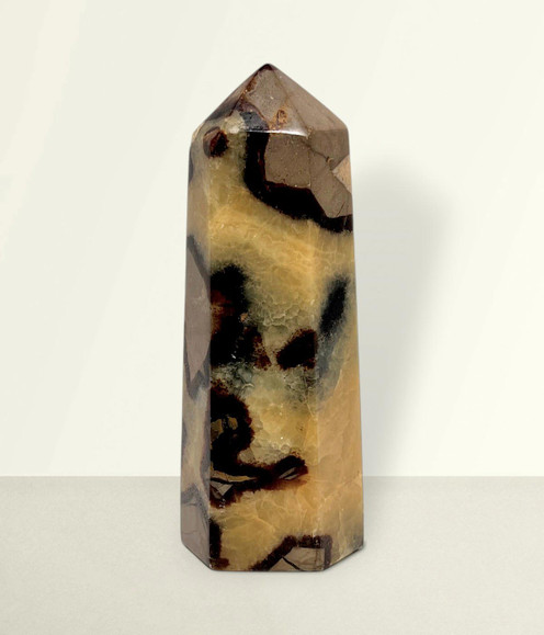 Septarian Point - unique piece #4, front-facing, against a light cream coloured background.