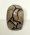 Septarian Skull - unique piece #1, viewed from the back, against a light cream coloured background.