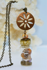 brass necklace with seashells
seashells in bottle