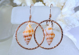 Rose gold filled earrings with Hawaiian shell