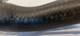 1997-04 C5 Corvette Fuel Filler Neck Hose