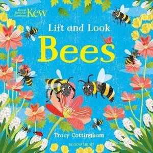 KEW LIFT AND LOOK BEES BOARD BOOK KEW LIFT AND LOOK BEES BOARD BOOK