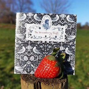 STRAWBERRY THIEF ONE-SHOT