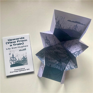 COLOSSIVE CARTOGRAPHIES #64 UPWARDS VIEW FROM A TRAIN