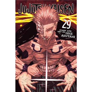 JUJUTSU KAISEN SC VOL 29
