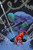 AMAZING SPIDER-MAN BY SPENCER SC VOL 09 AMAZING SPIDER-MAN BY SPENCER SC VOL 09