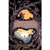 FRANK MILLERS PANDORA HC FRANK MILLERS PANDORA HC