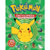 POKEMON ENCYCLOPEDIA EXPANDED FINAL EDITION HC POKEMON ENCYCLOPEDIA EXPANDED FINAL EDITION HC