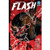 ABSOLUTE FLASH SC VOL 02 STILL POINT