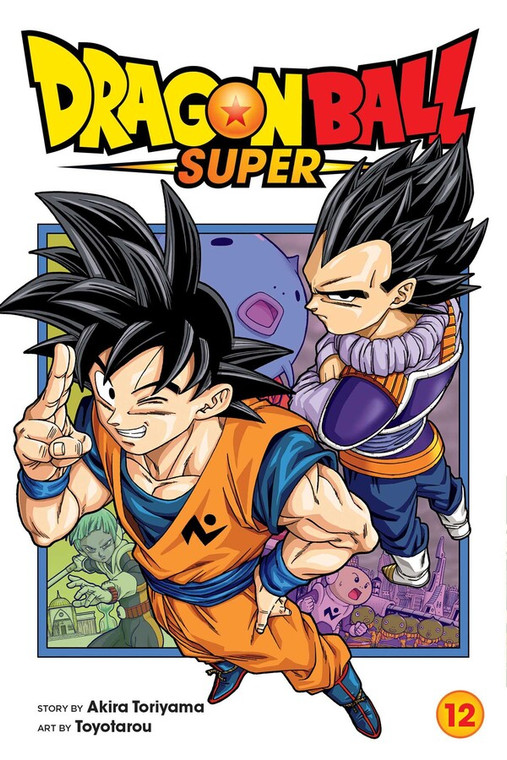 DRAGON BALL SUPER VOL 12