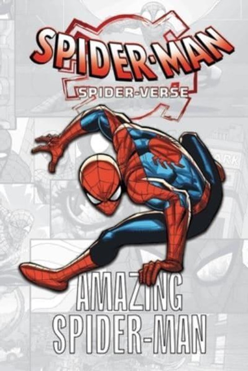 SPIDER-VERSE SC AMAZING SPIDER-MAN