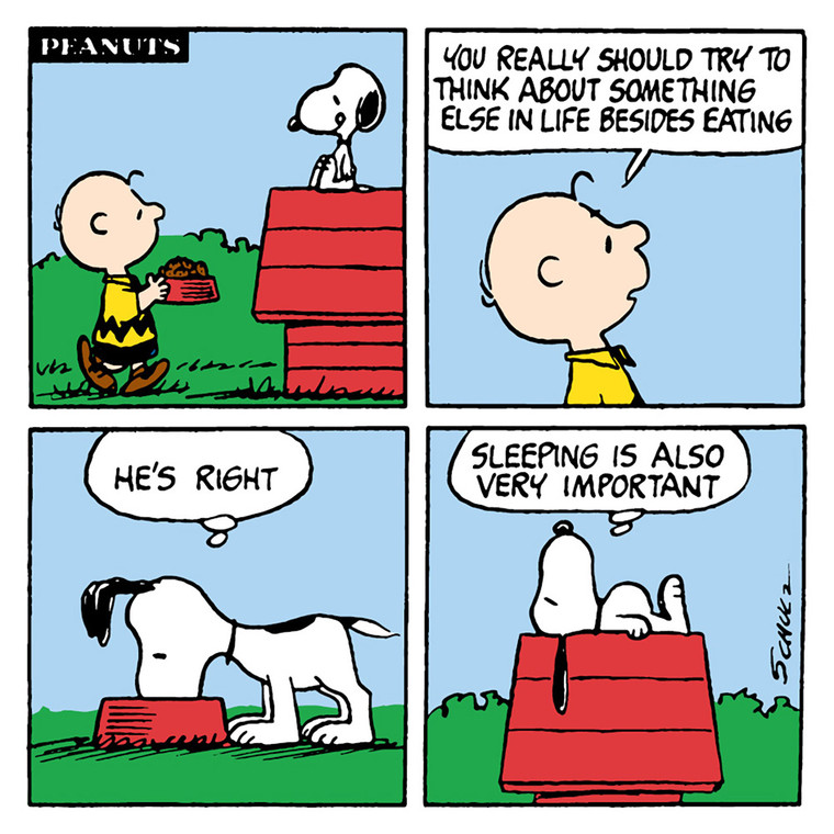 SNOOPY SLEEPING CARD