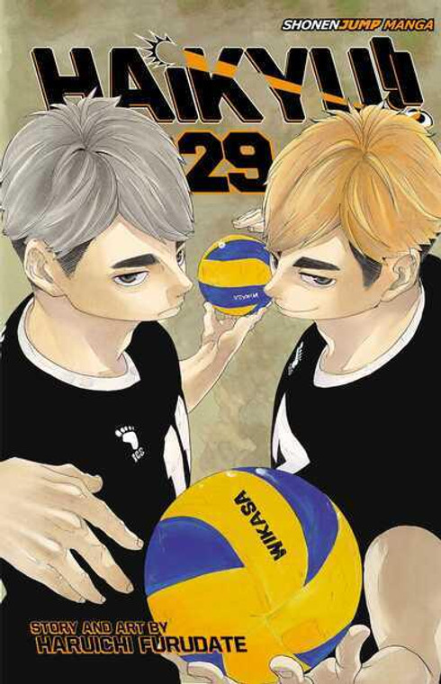 HAIKYU!! VOL 29