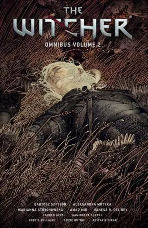 WITCHER OMNIBUS TP VOL 02