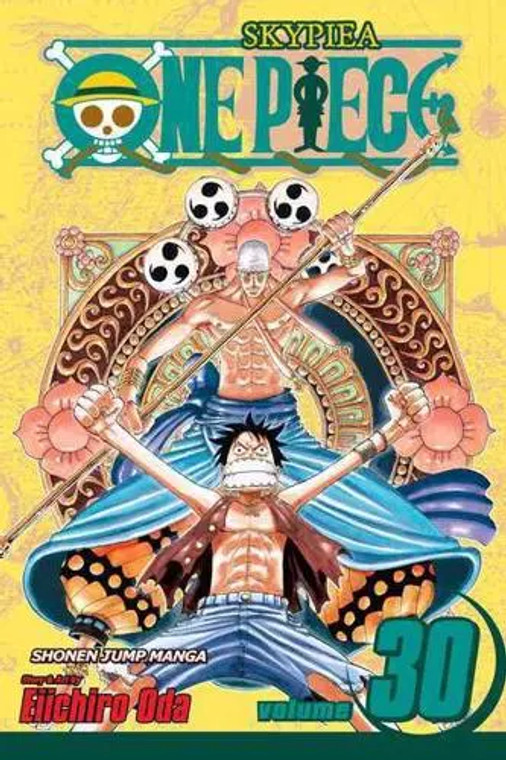 ONE PIECE VOL 30