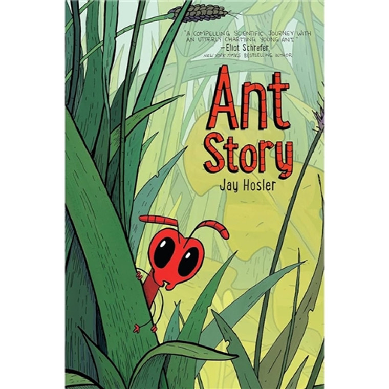 ANT STORY GN