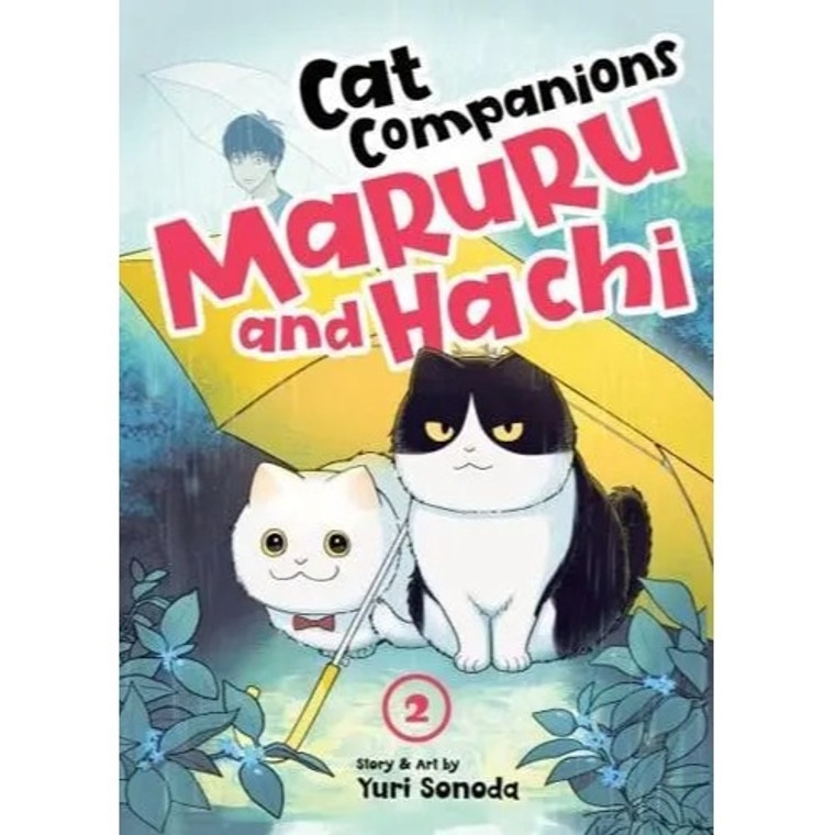 CAT COMPANIONS MARURU AND HACHI SC VOL 02