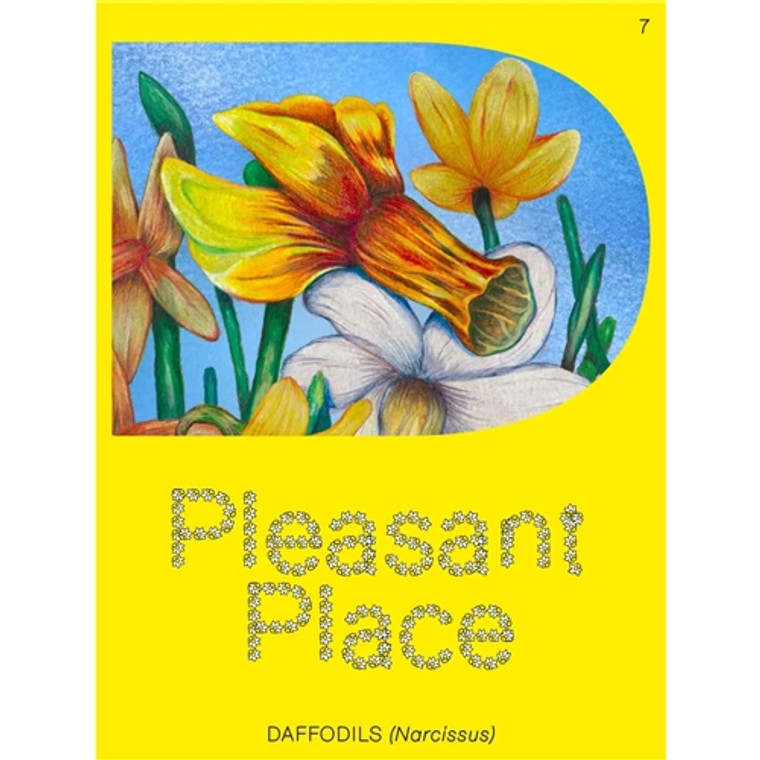 PLEASANT PLACE #7 DAFFODILS