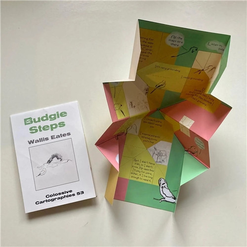 COLOSSIVE CARTOGRAPHIES #53 BUDGIE STEPS