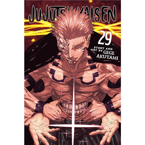 JUJUTSU KAISEN SC VOL 29