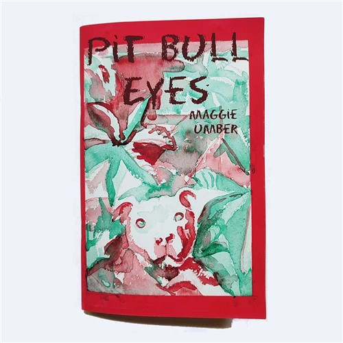PIT BULL EYES ONE-SHOT