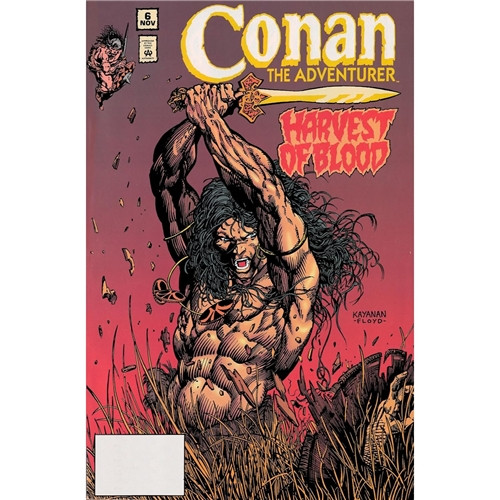 CONAN THE ADVENDTURER ORIGINAL COMICS YEARS OMNIBUS HC