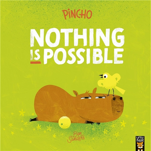 PINCHO NOTHING IS POSSIBLE SC