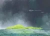 MERLIN ONE-SHOT RESONANT ECOLOGIES