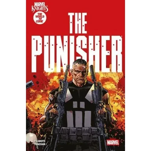 MARVEL KNIGHTS PUNISHER SC