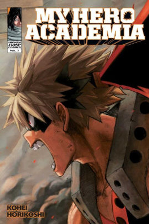 MY HERO ACADEMIA SC VOL 07