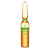 Endocare Tensage 10 Ampoules thumbnail