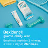 Bexident Gums Daily Use Toothpaste 75ml thumbnail