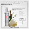 Kérastase Prèmiere Concentré Décalcifiant Ultra-Repairing Treatment 250ml thumbnail