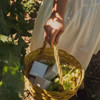 COSBE Solid Shampoo 120 g x 2 thumbnail
