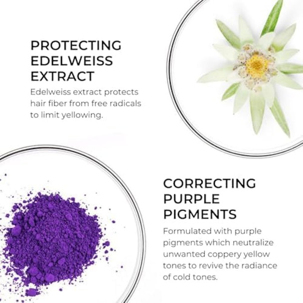 Phyto Purple Mask 200ml