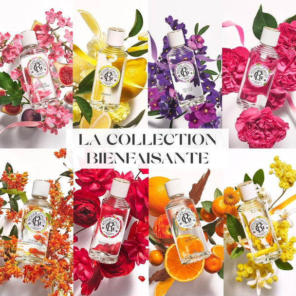 Roger & Gallet Fleur De Figuier Wellbeing Soap 100 g