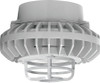 HAZPLED80CF-DG Hazardous Lighting 6540 Lumens Hazpled 80W Clear Flat Lens Die