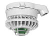 HAZSLED26FG-DG Hazardous Lighting Hazsled 26W Green Frosted Globe Die Cast Guard