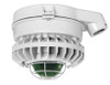 HAZSLED42FG-G Hazardous Lighting Hazsled 42W Green Frosted Globe Wire Gurad