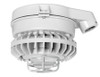 HAZSLED80C-DG Hazardous Lighting 6420 Lumens Hazsled 80W Clear Globe Die Cast