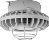 HAZXLED80FF-G/D10 Hazardous Lighting 5924 Lumens HAZXLED80FF 80W 0-10V Dimming