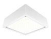 VANLED65YFW/480 Canopy Lights 8720 Lumens VANLED 65W 480V Flat Clear Lens White
